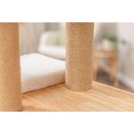 Grattoir pour Chats Trixie Thiago Naturel 147 CM