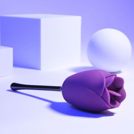 Stimulateur clitoridien Playboy Playboy Violet