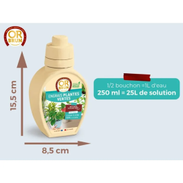 Or Brun Fertilisant d'intérieur pour plantes vertes 250 ml