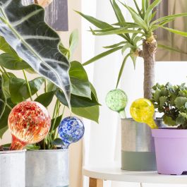 Ballons arrosage automatique Ballwooters InnovaGoods 4 Unités