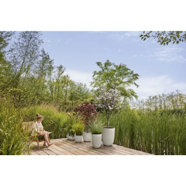 ELHO Sereh Rond 60 - Pot de fleur rond 110 L - Ø 59 x H 51 cm - Beige - Intérieur/extérieur - En plastique 100% recyclé