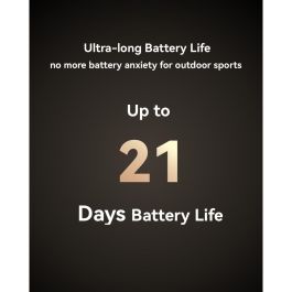 Montre intelligente Huawei Watch GT 6 Pro 46mm Atum-B29M Argenté 1,47" 46 mm