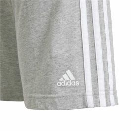 Short de Sport pour Enfants Adidas IS2573 Gris