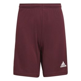 Short de Sport Adidas Squad 21 Rouge foncé