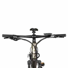 Vélo Électrique Cecotec Supreme 250 W 29"