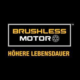 Tournevis électrique Dewalt DCD996P2 820 W