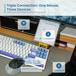 Pointe Ewent EW3204 Noir Gris 1600 dpi