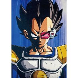 Coussin Dragon Ball Multicouleur Polyester Imprimé Enfant