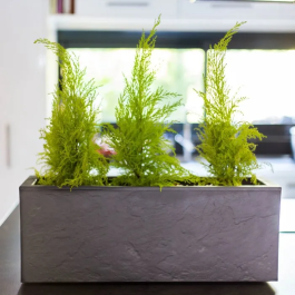 Eda - Balconnière Volcania Up 25 L - Décoration intérieure et extérieure - Finition pierre - 59 x 19.5 x 22.8 cm - Gris anthracite