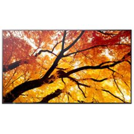 Moniteur Videowall Sharp 60006057 4K Ultra HD 74,5"