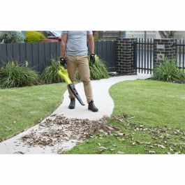 Souffleuse Ryobi 18 V Volets