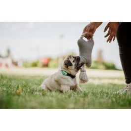 Tickless MINI DOG&CAT Répulsif Ultrasónico pour Chiens et Chats - Protection contre les Puces et Tiques - Mentha Green TIC5999566451683