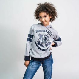 Sweat à capuche enfant Harry Potter Gris 12 ans
