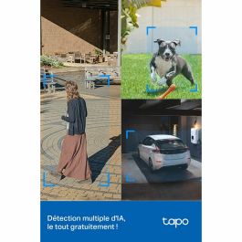 Camescope de surveillance TP-Link TAPO C520WS