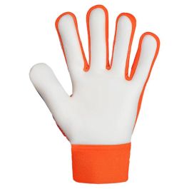 Gants de Gardien de But Reusch Attrakt Starter Bleu Orange