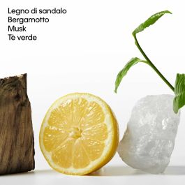 Parfum Unisexe Calvin Klein CK Ck One Essence 100 ml