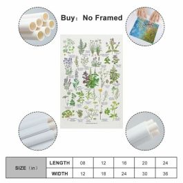 SAMSUNG Galaxy A56 256GB 8RAM 5G EU Gris clair