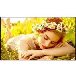 Moniteur Videowall LG 86UL5Q-E.AEUQ 50" Ultra HD Precio: 2654.4999996. SKU: B1HTS6KBF6