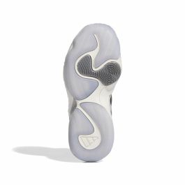 Chaussures de Basket-Ball pour Enfants Adidas Trae Unlimited Blanc Gris