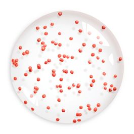 Bourjois HEALTHY MIX SERUM Brillance Hydratante 30 ml