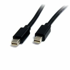 Mini câble DisplayPort Startech MDISP2M (2 m) 4K Ultra HD Noir