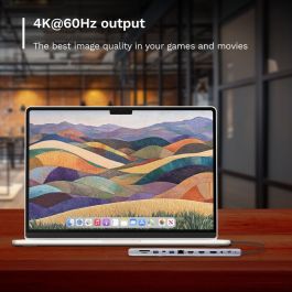 Hub USB Ewent EW1150 Gris