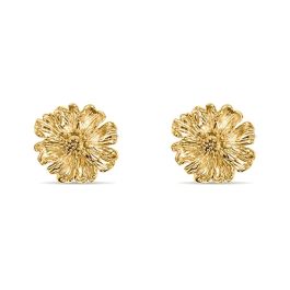 Boucles d´oreilles Femme Stroili 1697585 Doré Precio: 77.4999996. SKU: B1AKK6SAFT