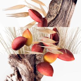 Hermès Un Jardin A Cythere Edt Vapo Refill 200 mL