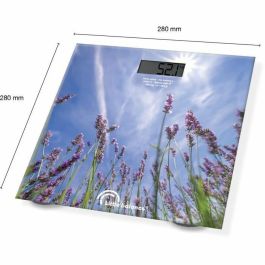 Little Balance Balance de Bain USB-C Lavande LIT3760240788423