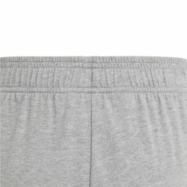 Short de Sport Unisexe Adidas Blrt Gris