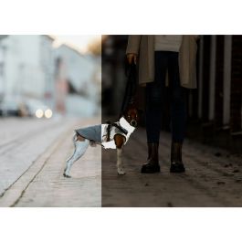 Manteau pour Chien Trixie Gris XS