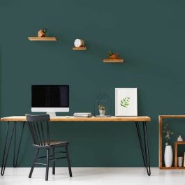 Peinture d'Apprêt Ripolin Vert 2,5 L Mat