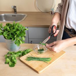 Tijeras Acero Inoxidable Rico Quid 21 cm (24 Unidades)