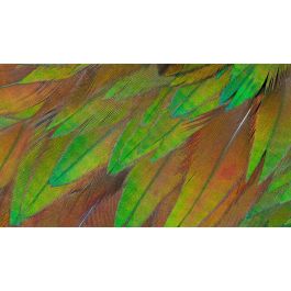 Philips 68.5cm (27.0") 27B1U3900 16:09 2xHDMI+DP+USB-C Lift