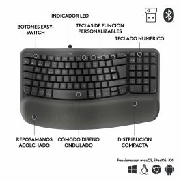 clavier et souris Logitech Graphite Acier Espagnol Qwerty