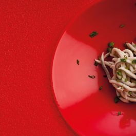 Plato Gourmet Porcelana Antracita Ariane 28 cm