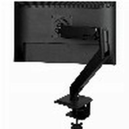 Support de table d'écran Arctic AEMNT00062A 43"