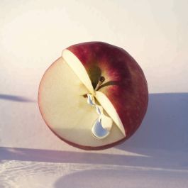 Hugo Boss Ma Vie Eau de Parfum 50 mL