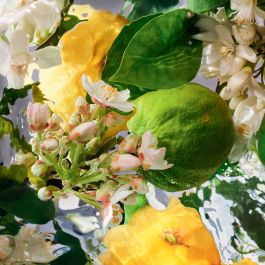 Guerlain Aqua Allegoria Bergamote Calabria Recharge Edt Vapo 200 mL