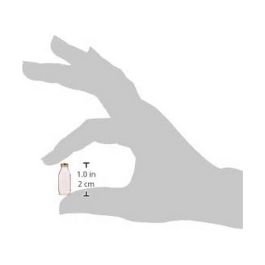 Bouteille Bormioli Rocco Quattro Stagioni Transparent verre 1 L