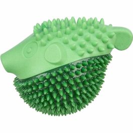 Jouet pour chien Trixie Vert 12 cm Poisson