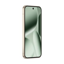 Google Pixel 10 Pro 256Go Vert Jade 6.3 pouces