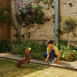 Capteur Intelligent de Portes et de Fenêtres Yale AL-EPIR-1A-G