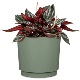 Deroma Pot de Fleurs Rond 236, 13 L, 29 cm de Diamètre, Vert - Design Élégant et Contemporain pour Intérieur et Extérieur