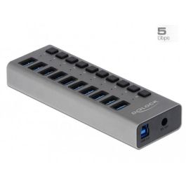 DELOCK Externer SuperSpeed USB Hub mit 10 Ports + Schalter