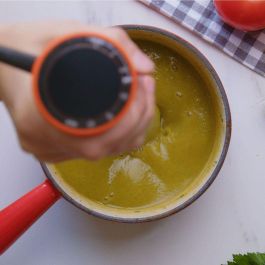 Mixeur plongeant Taurus BAPI 1200 ROCKP