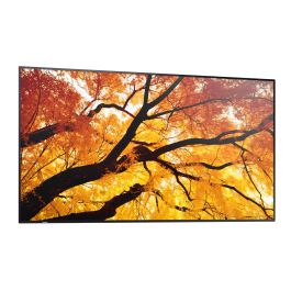 Moniteur Videowall Sharp 60006053 4K Ultra HD 42,5"
