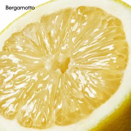 Parfum Unisexe Calvin Klein CK Ck One Essence 100 ml