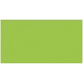 Papiers carton Iris Fluorescent Vert citron 50 x 65 cm Precio: 31.5. SKU: S8410525