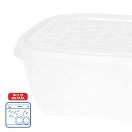 Boîte à lunch Max Home polypropylène (6 Unités)